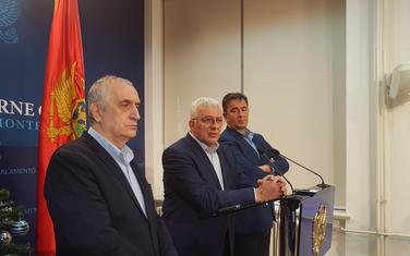 Sa pres konferencije DF-a