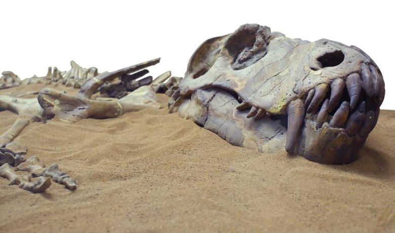 Dinosaurusi su izumrli prije oko 66 miliona godina
