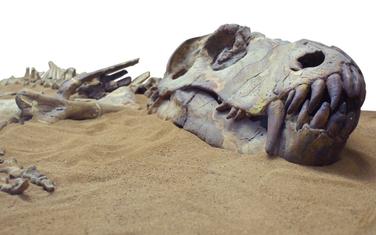 Dinosaurusi su izumrli prije oko 66 miliona godina