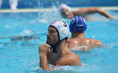 Damir Crepulja