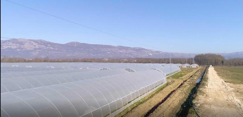 Poljoprivredno dobro kompanije "Voli" u Šasu u Ulcinju