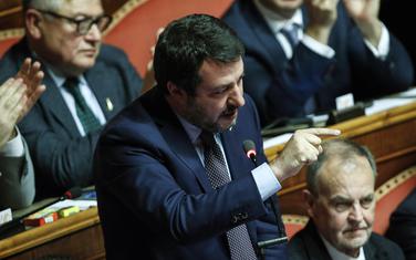 Salvini