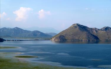 NP Skadarsko jezero (Ilustracija)