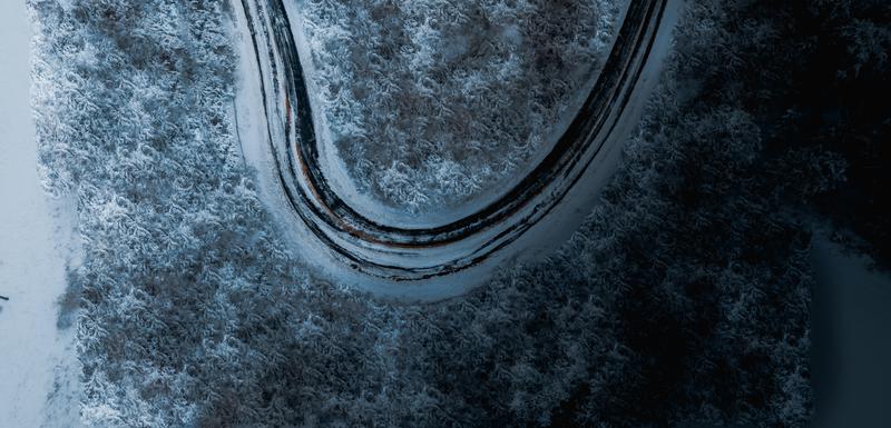 Poledica