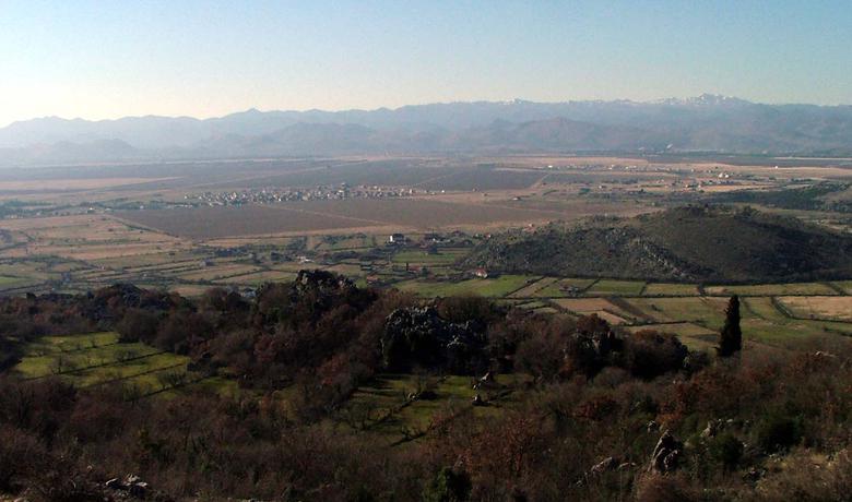 Ćemovsko polje