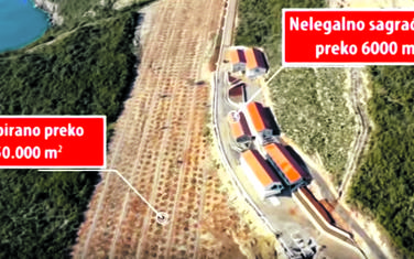 Detalj iz istraživanja MANS-a