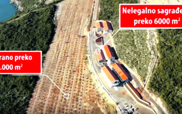 Detalj iz istraživanja MANS-a