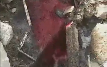 Izlivanje krvi u Zetu
