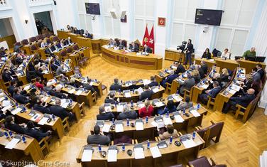 Sa prve sjednice Prvog redovnog proljećnjeg zasijedanja u 2020.