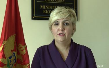 Sekulić