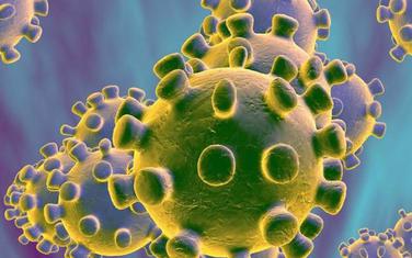 Koronavirus