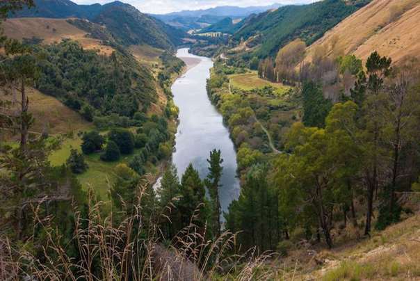 Vanganui
