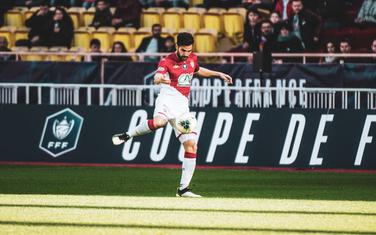 Sesk Fabregas
