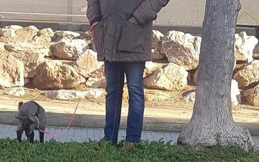 Kršenje zabrane izlaska