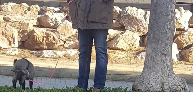 Kršenje zabrane izlaska