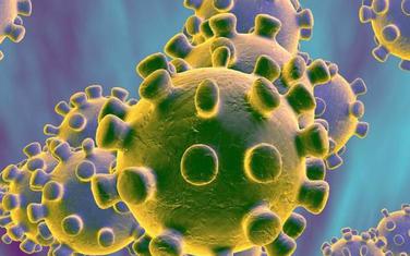 Koronavirus