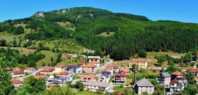 Petnjica