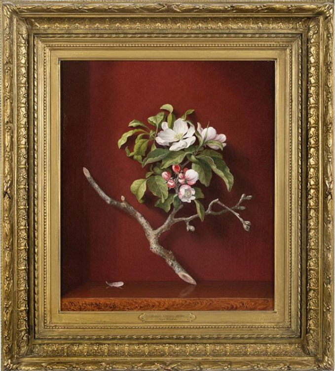 Martin Johnson Heade, 1868. ulje na platnu