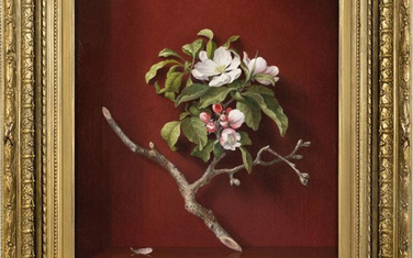 Martin Johnson Heade, 1868. ulje na platnu