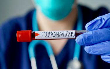 Koronavirus